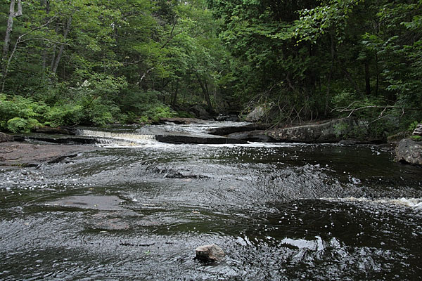 Cartier Creek in the Petawawa Research Forest