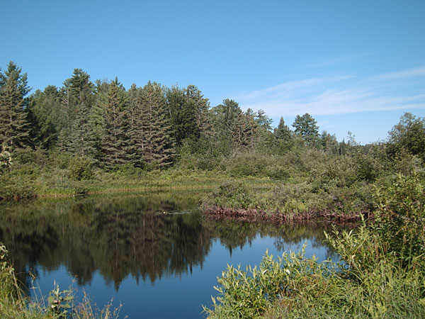 Chalk River at hwy 17