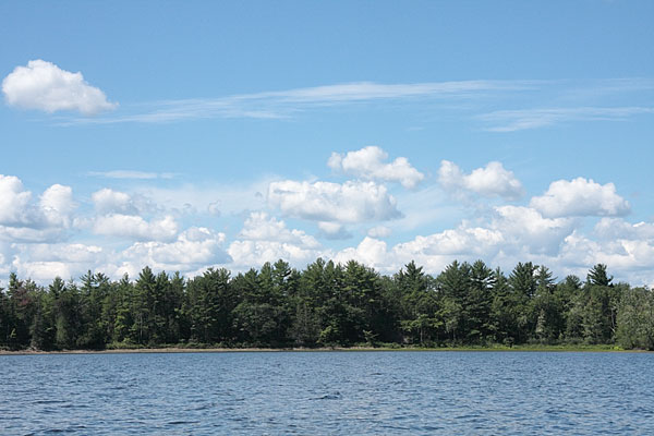 Presquisle on the Ottawa River near Point Alexander