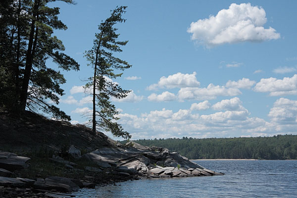 Presquisle on the Ottawa River near Point Alexander
