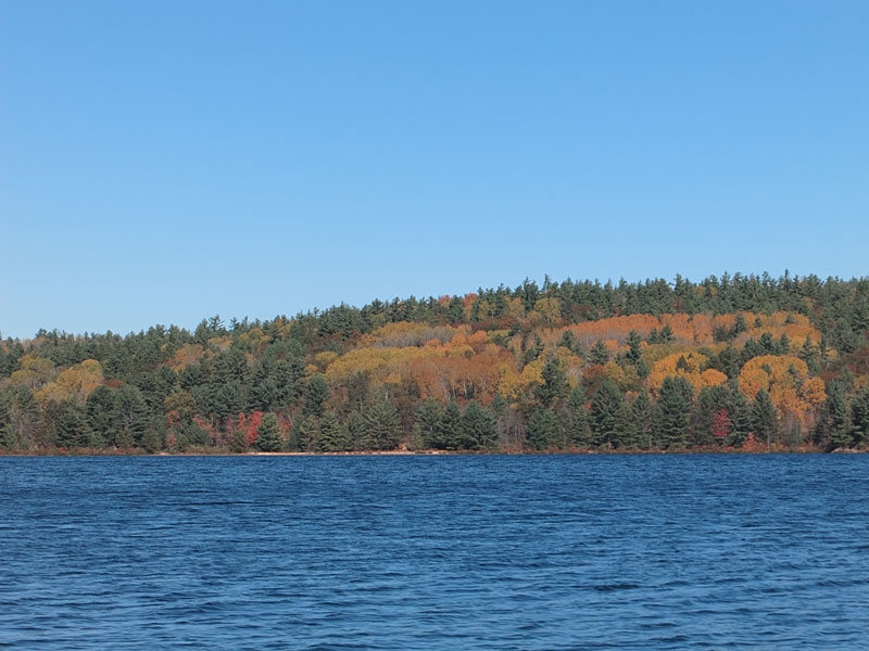 fall colours on Grand Lake in Algonquin Park