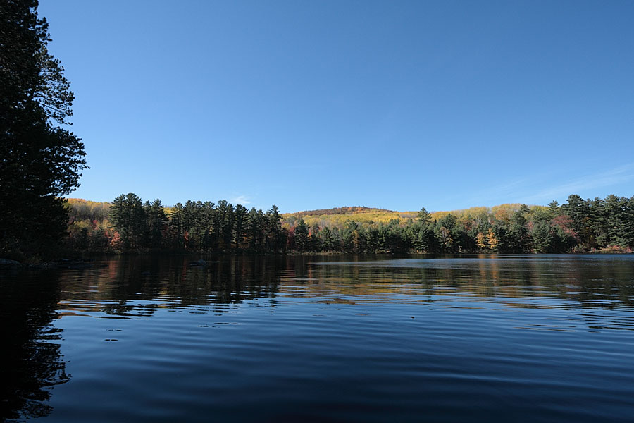 fall colours on Grand Lake in Algonquin Park