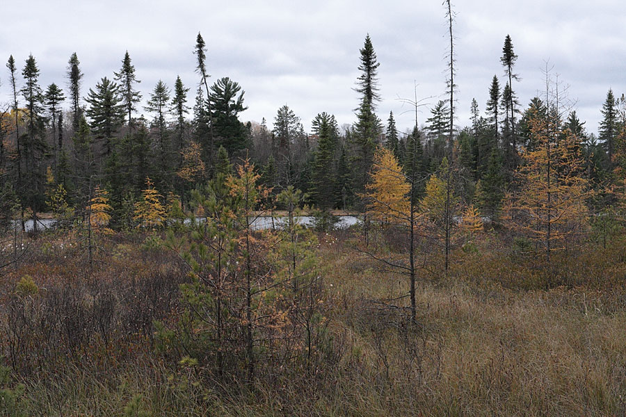 Maunsell Lake in the Petawawa Research Forest
