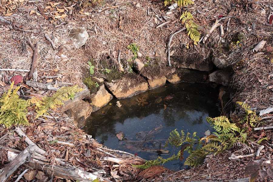 old well in the Petawawa Research Forest