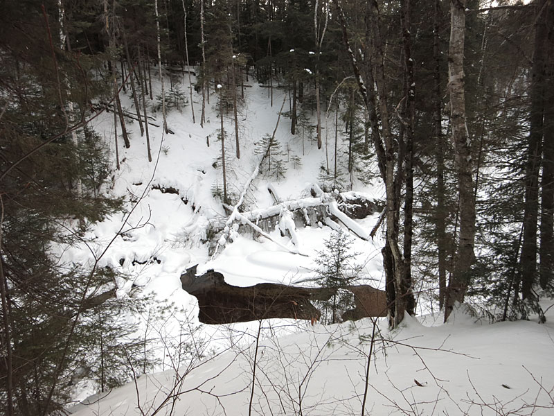 McConnell Creek Ravine