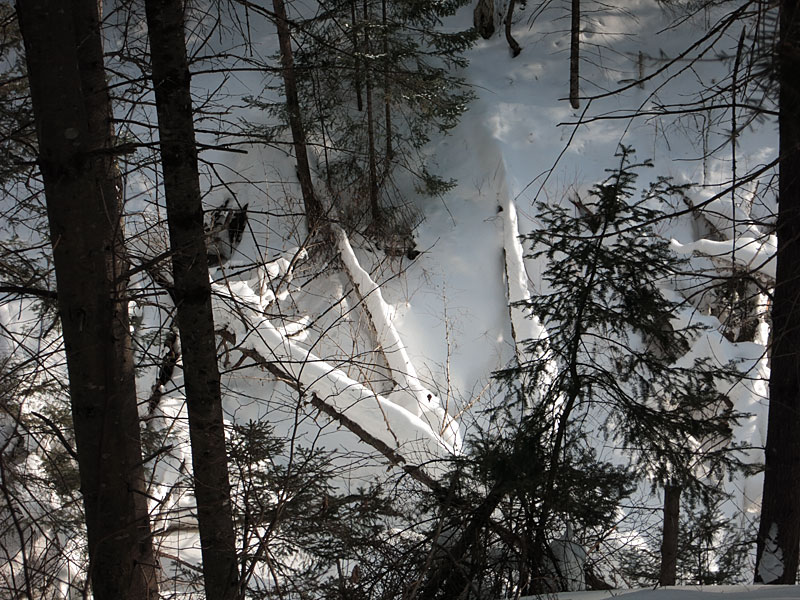McConnell Creek Ravine