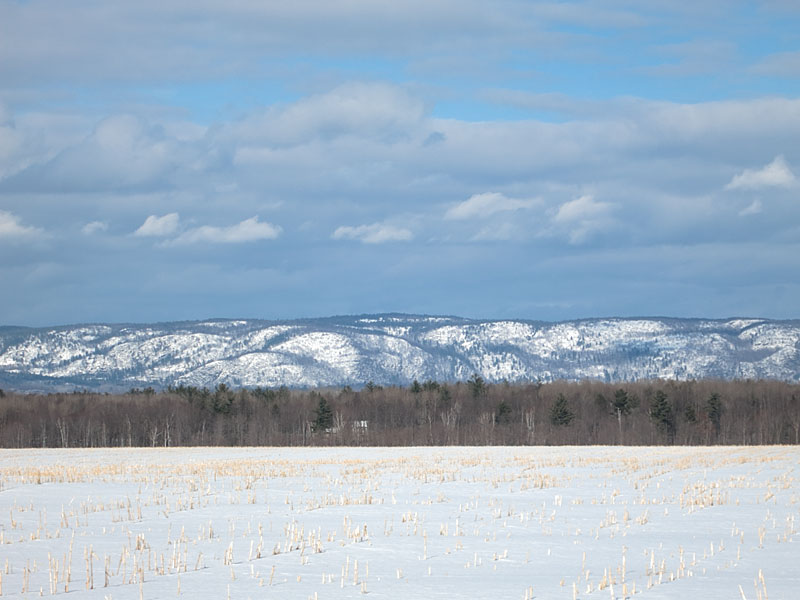 the OttawaBonnechere graben as seen from along the Dunrobin Road near Constance Bay