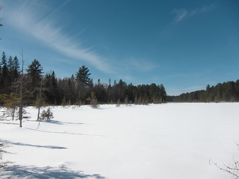 Maunsell Lake in the Petawawa Research Forest