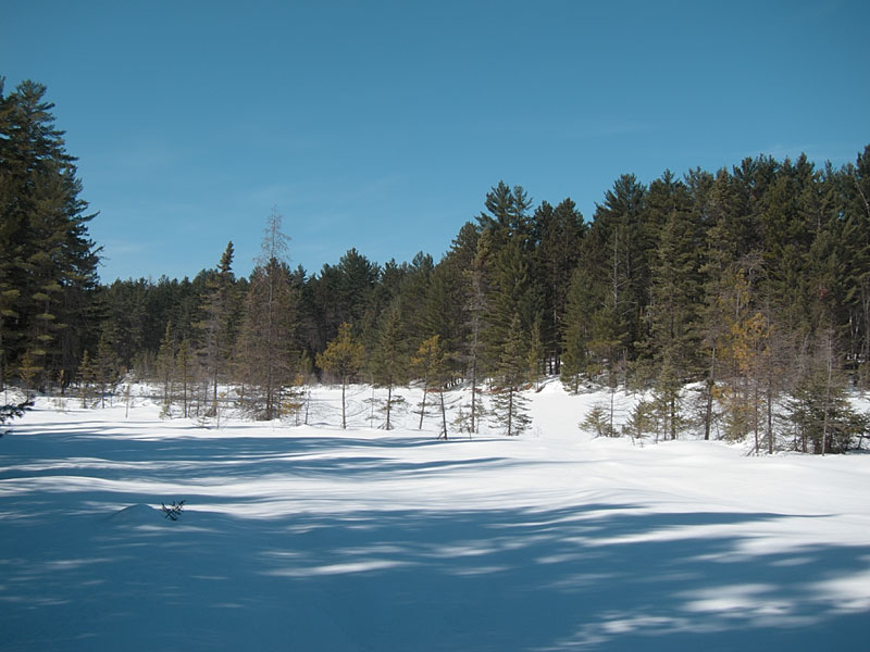 Maunsell Lake in the Petawawa Research Forest