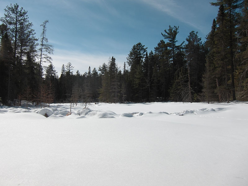 Maunsell Creek in the Petawawa Research Forest