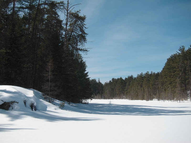 Maunsell Lake in the Petawawa Research Forest