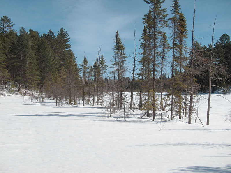 Maunsell Lake in the Petawawa Research Forest