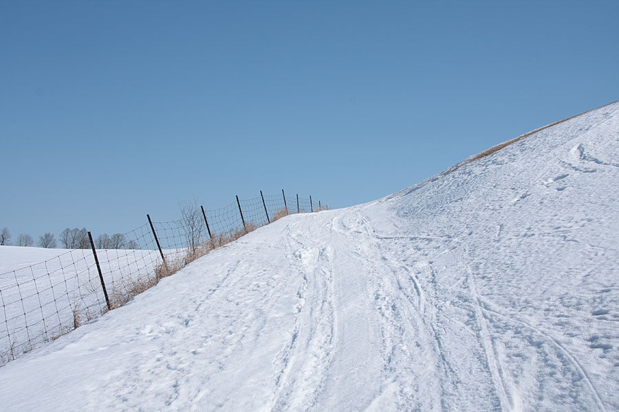 Prettys Hill Lookout