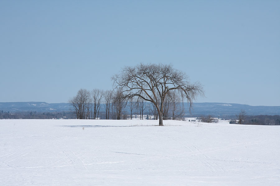 Prettys Hill Lookout
