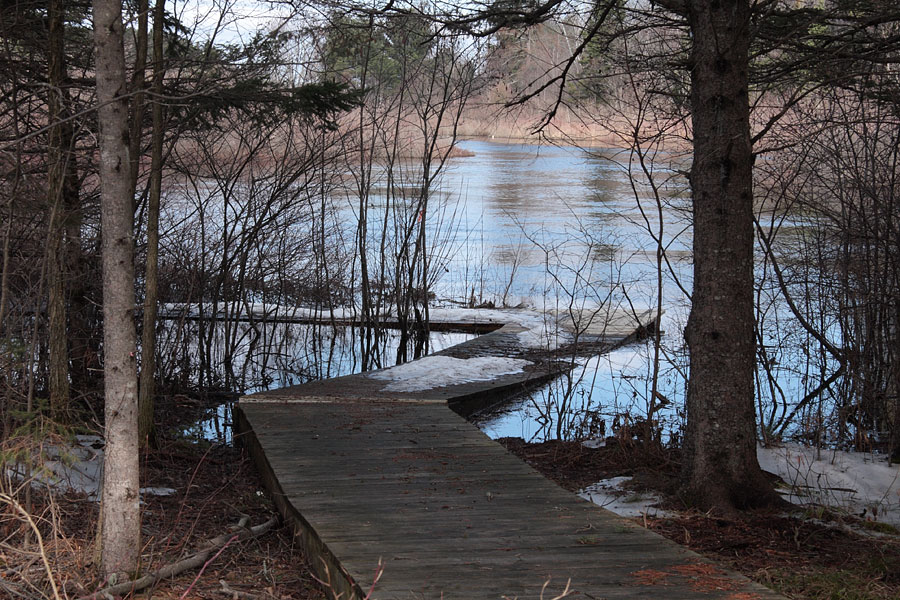 spring flood at the board walk along the Chalk River