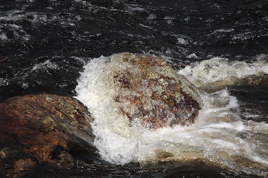 Lichen covered rock in white water