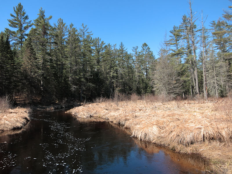 Forbes Creek in Algonquin Park