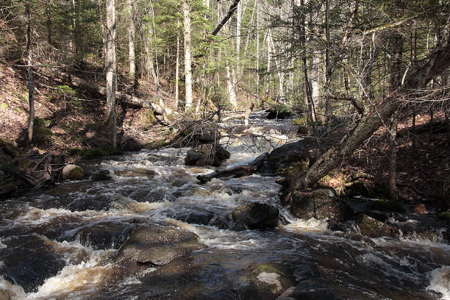 Kennedy Creek along the Silver Spoon Ski Trails in Deep River