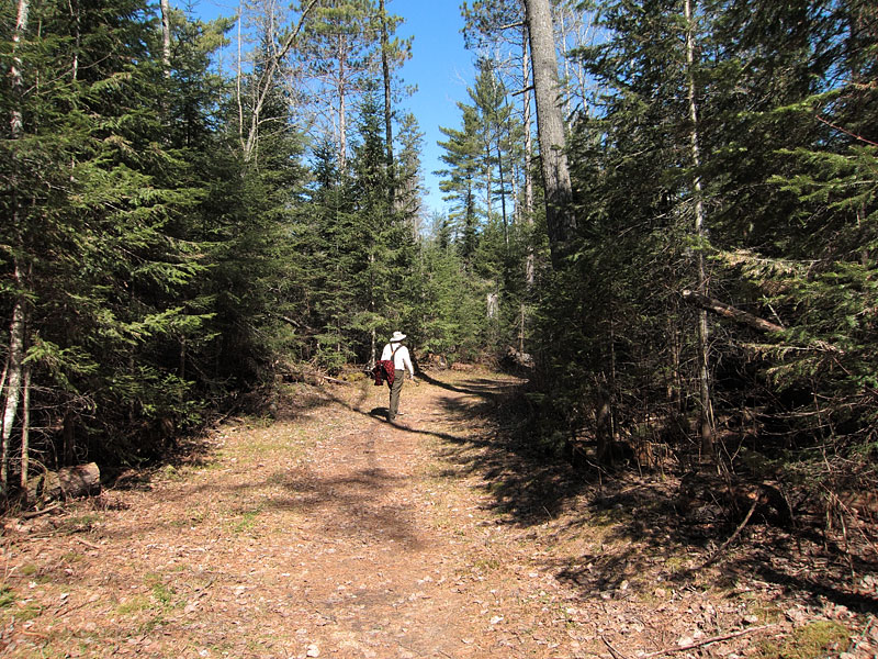 Mloop along the Silver Spoon Ski Trails in Deep River