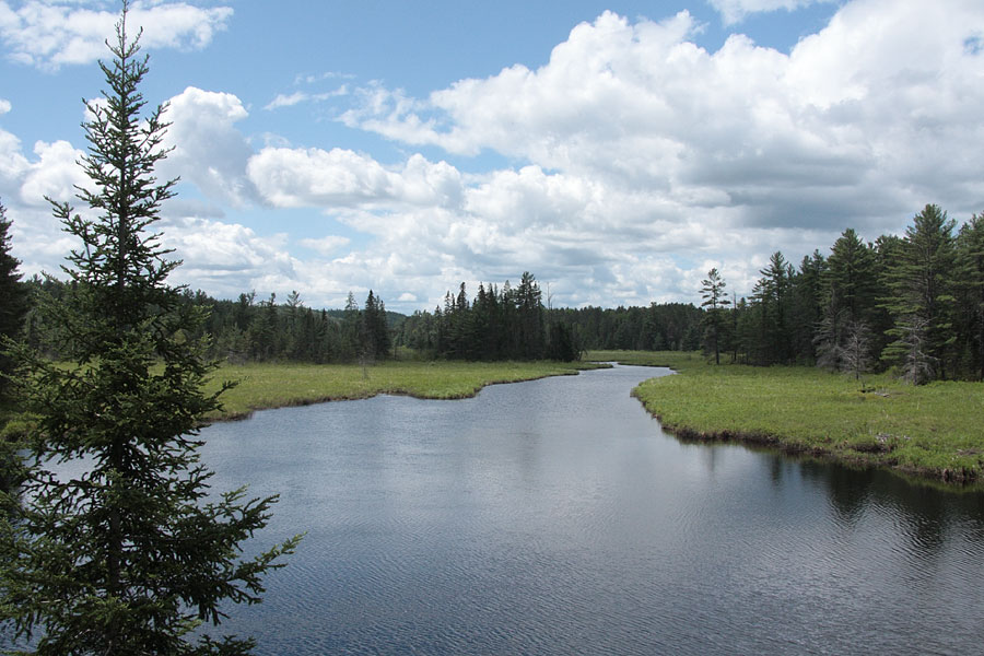 Carajou Creek in eastern Algonquin Park