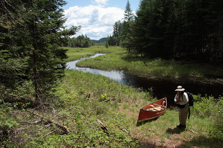 MacDonald Creek in Algonquin Park