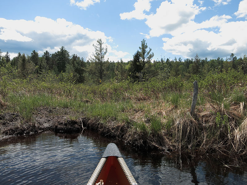 the portage to Turcotte Lake from McDonald Creek in Algonquin Park