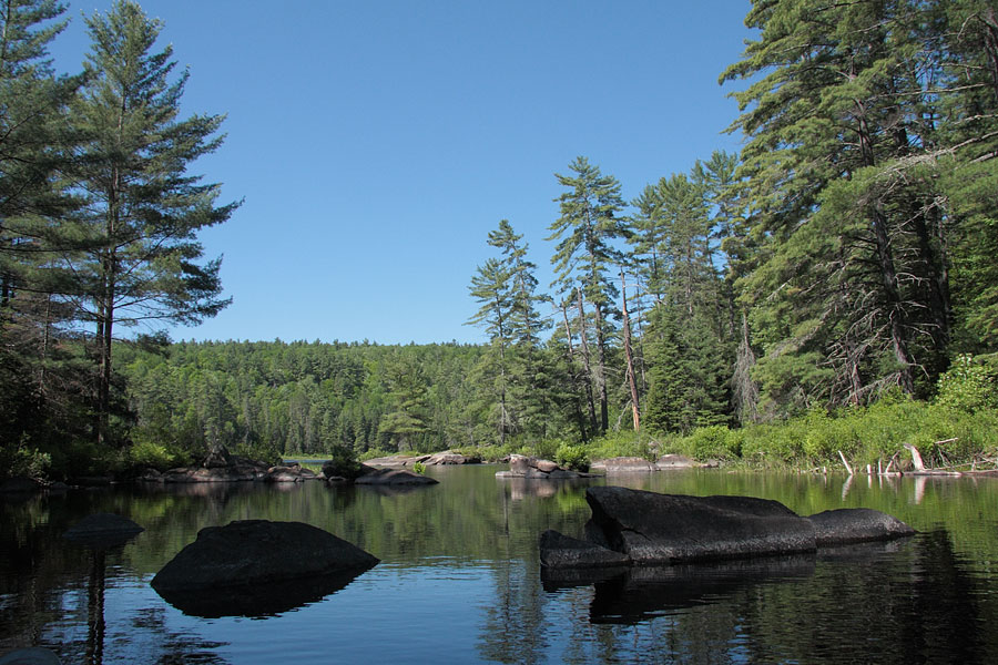 Cartier Creek as it flows into Cartier Lake in the Petawawa Research Forest