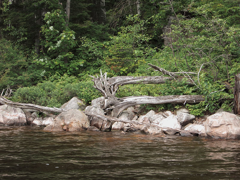 Cauchon Lake in Algonquin Park