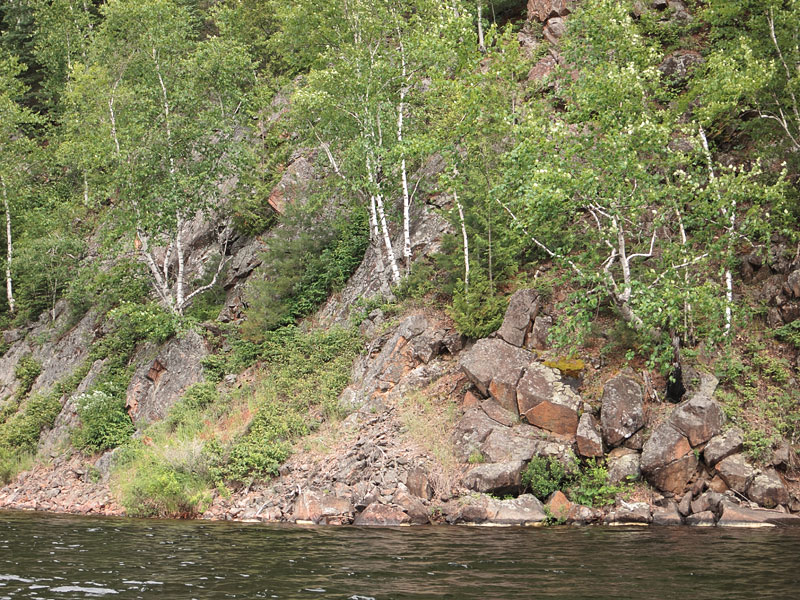 Cauchon Lake in Algonquin Park