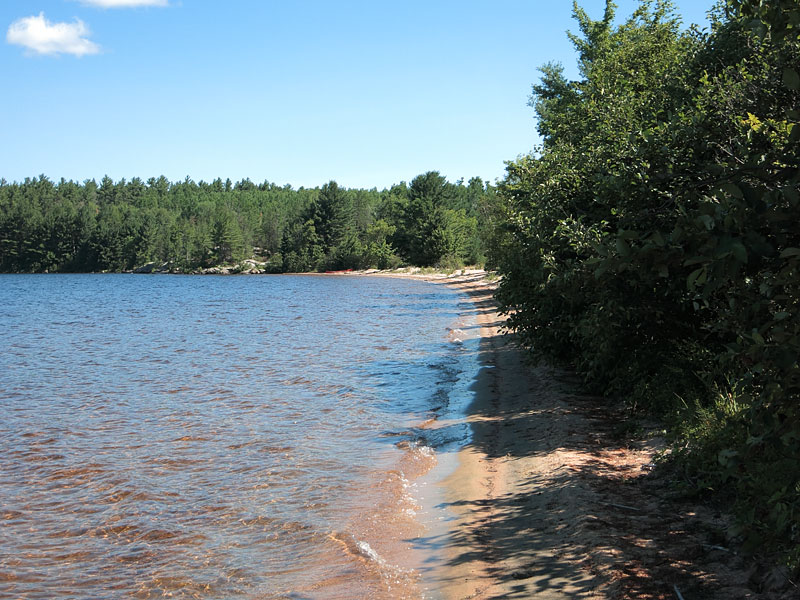 Beach on Grand Lake in Algonquin Park