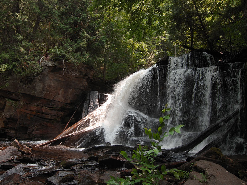 Barron River between St Andrews Lake and Highfalls Lake in Algonquin Park
