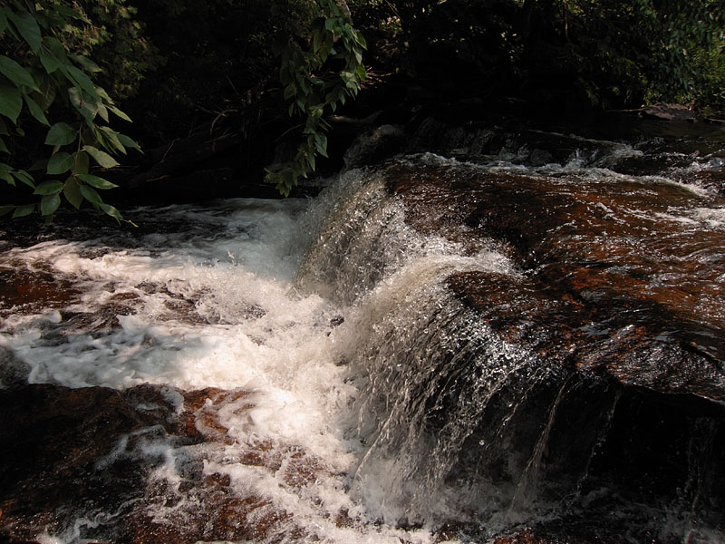 Barron River between St Andrews Lake and Highfalls Lake in Algonquin Park