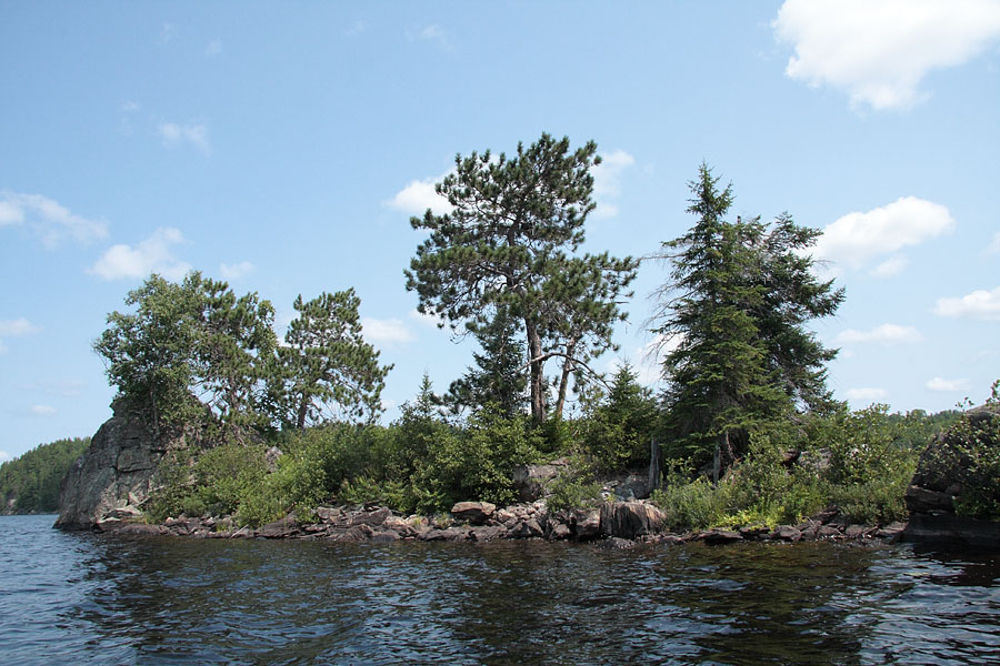 island in Grand Lake in Algonquin Park