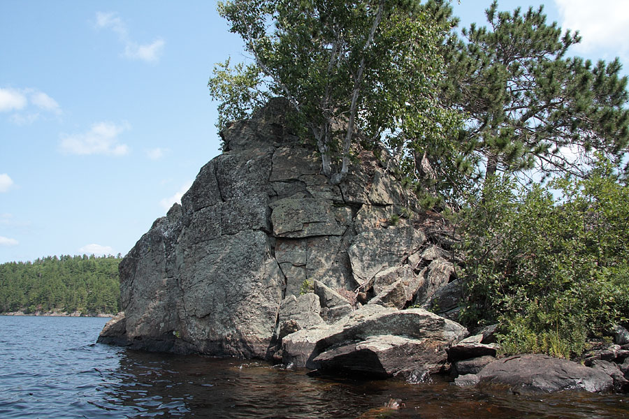 Tree growing from rocks in Grand Lake in Algonquin Park