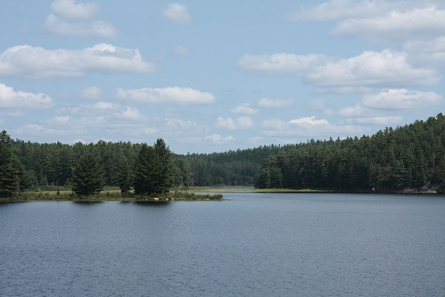 Kennedy Bay in Grand Lake in Algonquin Park