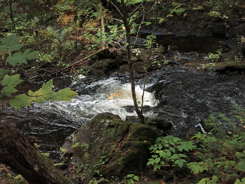 Cache Rapids on the Barron River in Algonquin Park