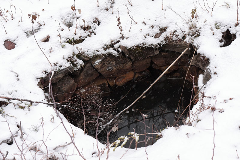 old well in the Petawawa Research Forest