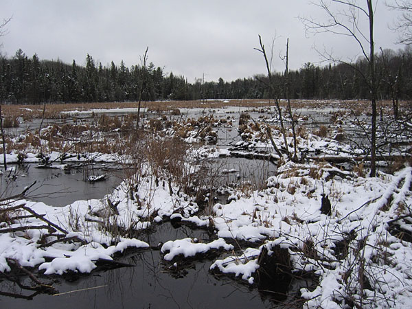 Spring Bass Lake Road