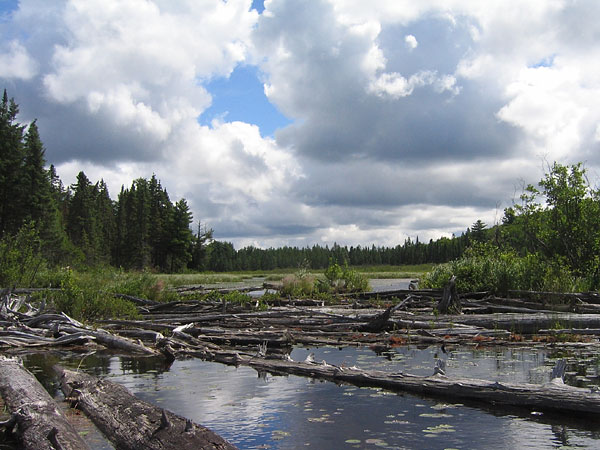 North River in Algonquin Park