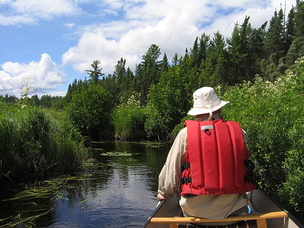 North River in Algonquin Park