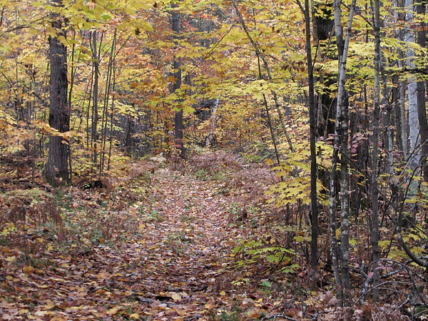 Deep River Ski Trail