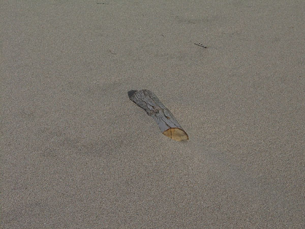 Burkes Beach on the Ottawa River at Point Alexander