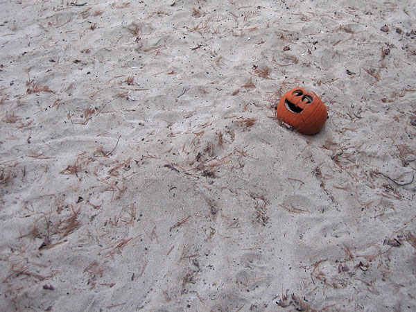 Lamure Beach on the Ottawa River at Deep River