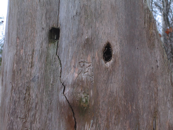 Lamure Beach on the Ottawa River at Deep River