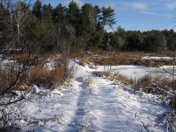 bridge over Kennedy Creek near Kings Farm