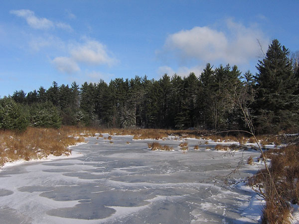 Kennedy Creek at Kings Farm Road in the Four Seasons Forest Sanctuary
