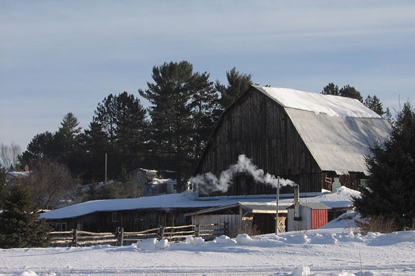 barn in winter