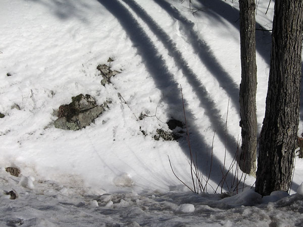 melting snow on southern exposure