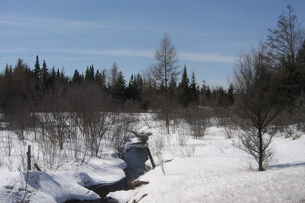Pumphouse Creek in Chalk River
