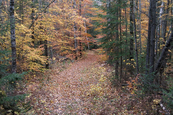 Silver Spoon Ski Trail Deep River